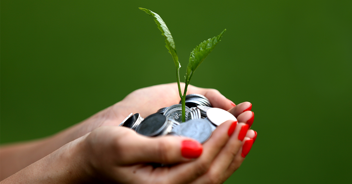 Monthly Investments Plan